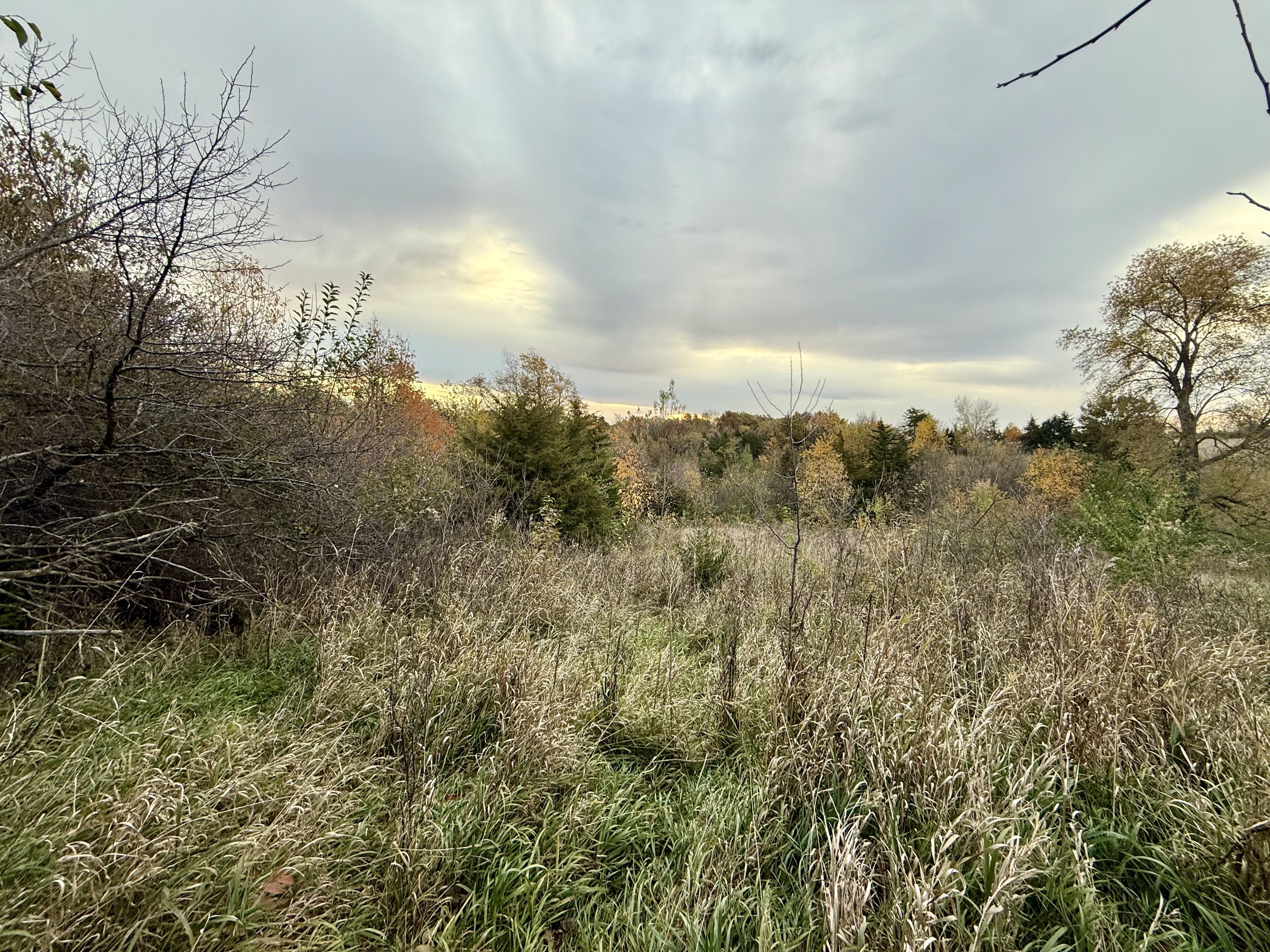 Listing Photo: Photo Oct 28 2025, 7 57 00 AM